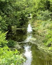 Harris Neck - Waterway