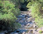 Hawaii - Stream