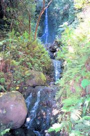 Hawaii - Waterfall