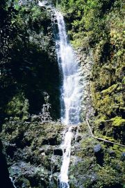 Hawaii - Waterfall