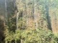 Hawaii - From a Helicopter