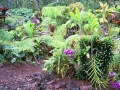 Hawaii - Gardens
