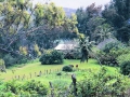 Hawaii - Horse Ranch