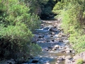 Hawaii - Stream