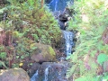 Hawaii - Waterfall