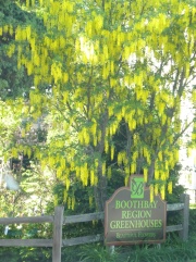 Maine - Boothbay Region Greenhouses