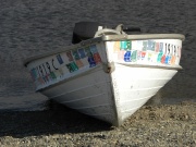 Maine - Moose Safari Tax Protest