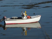 Maine - Moose Safari Boat