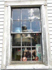 Maine - Orland Window Reflections