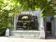 Maine - Portland ~Evangeline~