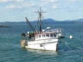 Maine - Bar Harbor Wind Spirit