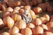 Rach Pumpkin Patch