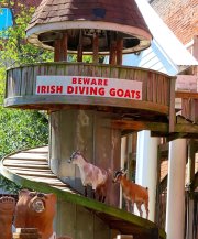 Memphis TN - Beale St Diving Goats
