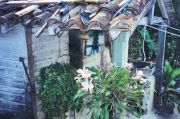 Missions Cuba - Shoes on Roof