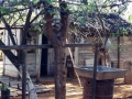 Missions Cuba - Home