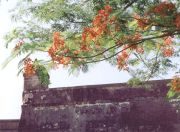 Missions Honduras - Fort Floral