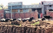 Missions India - Family Home
