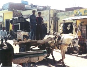 Missions India - Horse Drawn Wagon