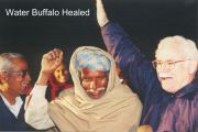 Missions India - Water Buffalo Healed
