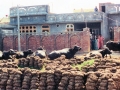 Missions India - Family Home
