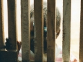 Missions Uganda - Lookig in