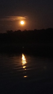 Moon Rise