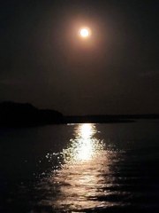 Moon Rise