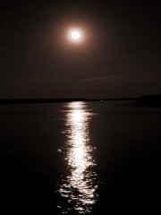 Moon Rise