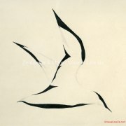 Calvin's Art 1972