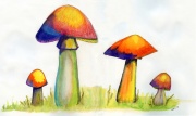 Mushrooms