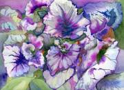 Coleus