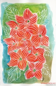 Summer Flowers
