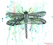 Dragonfly - Zentangle Inspired Art