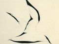 Calvin's Art 1972