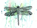 Dragonfly - Zentangle Inspired Art