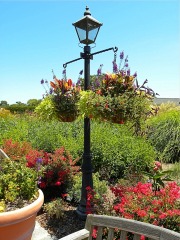 Norfolk Botanical Gardens-081c