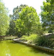 Norfolk Botanical Gardens-091b