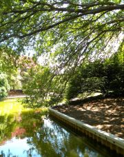 Norfolk Botanical Gardens-092c