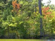 Norfolk Botanical Gardens-101a