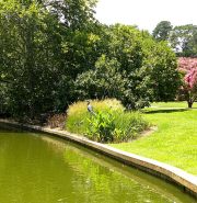 Norfolk Botanical Gardens-108c