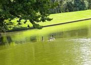 Norfolk Botanical Gardens-111c