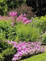 Norfolk Botanical Gardens-122c