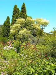 Norfolk Botanical Gardens-123c