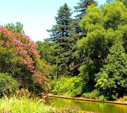 Norfolk Botanical Gardens-144a