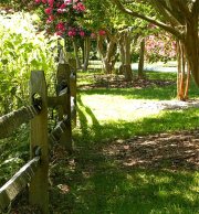 Norfolk Botanical Gardens-198c