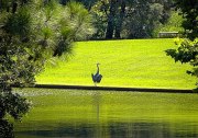 Norfolk Botanical Gardens-214a