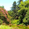Norfolk Botanical Gardens-144a
