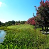 Norfolk Botanical Gardens-201a