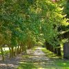 Norfolk Botanical Gardens-204c
