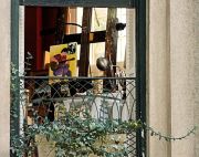 Savannah - Window Into a Life